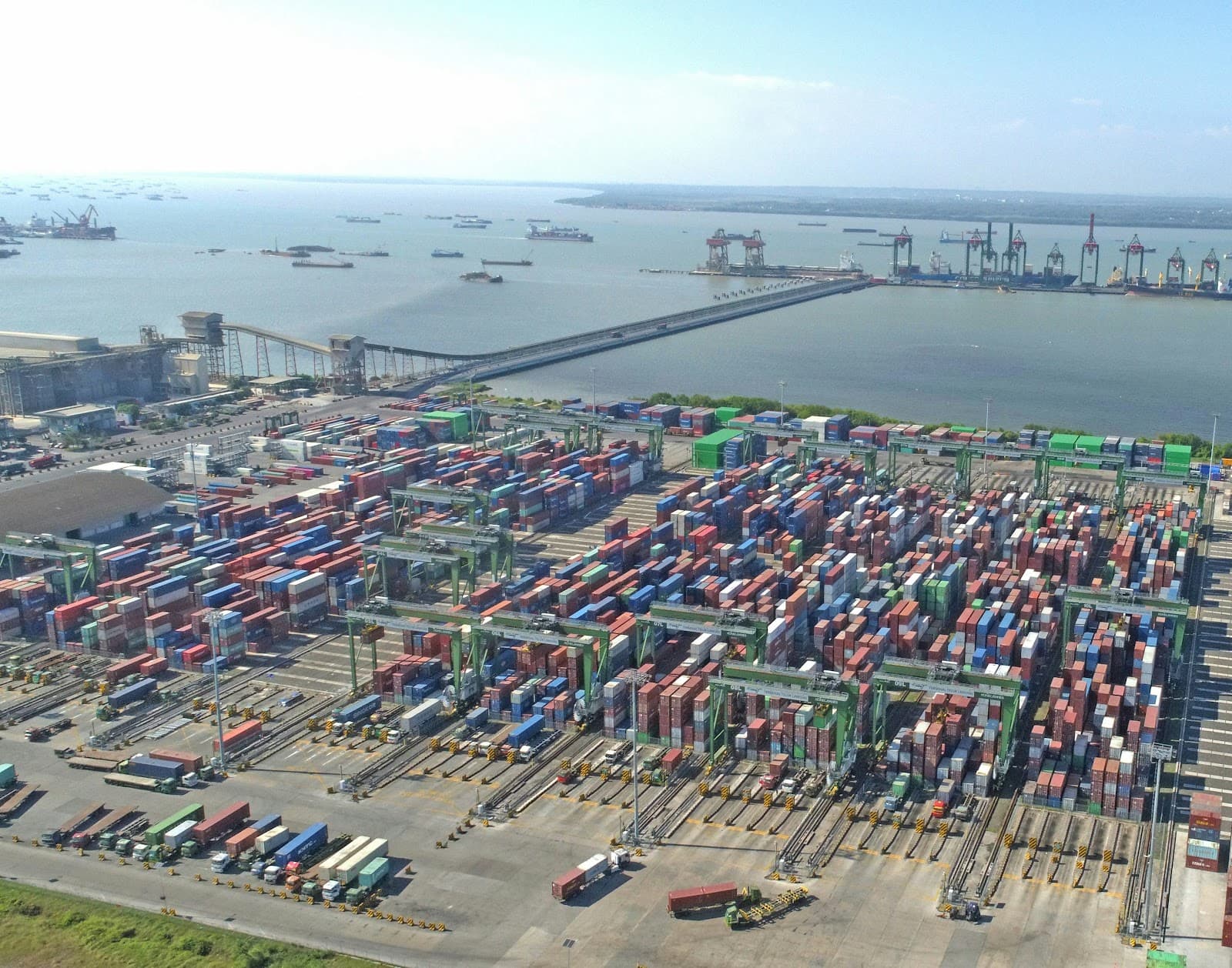 IOR vs ACP — Which Do You Need for Japan Imports?